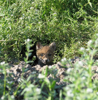 «Стоял за кофе 20 минут». Ткаченко пожаловался на туристическую инфраструктуру на юге Украины